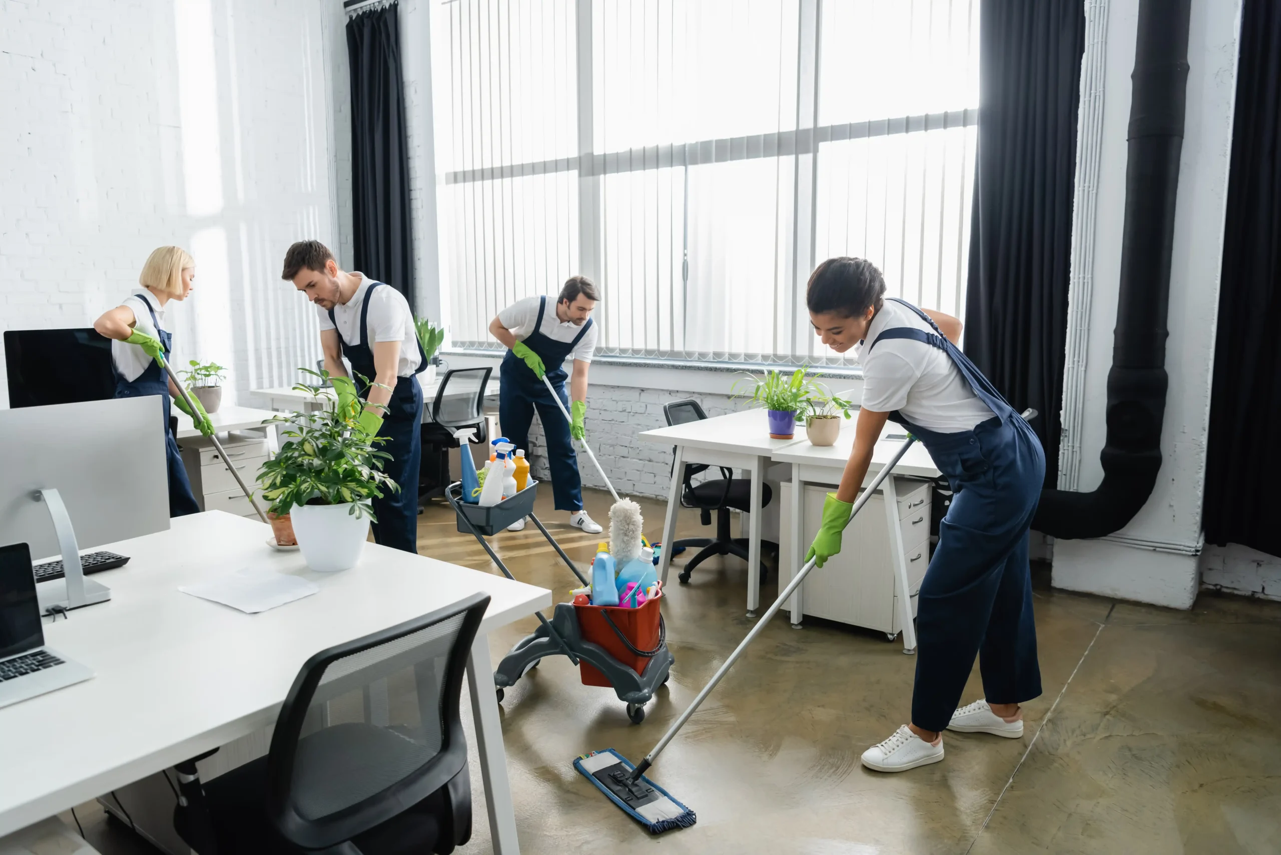 Professional cleaning team at work in Sydney